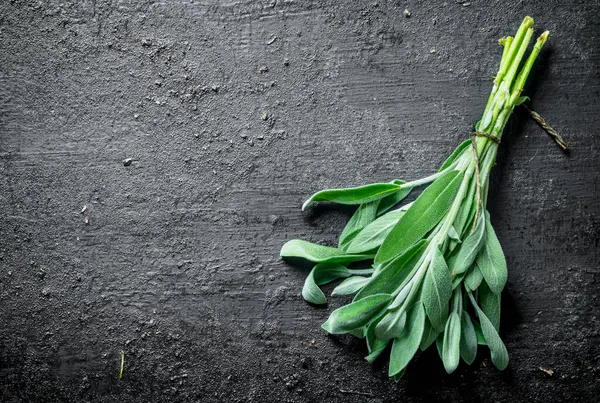 Salvia Cultivée Dans Jardin Maison Sur Fond Rustique Noir — Photo