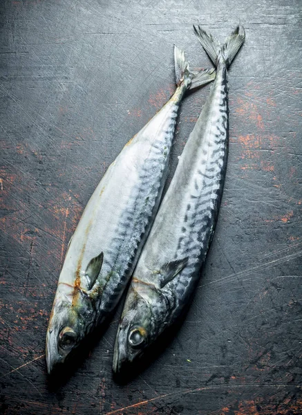 Surové Ryby Makrely Obecné Tmavém Venkovním Pozadí — Stock fotografie