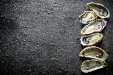 Çiğ istiridye açtım. Siyah rustik arka plan üzerinde