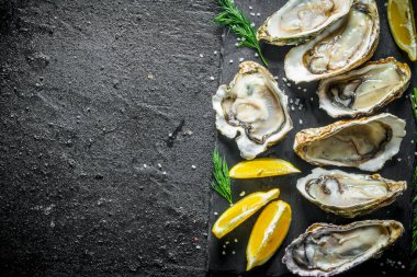 Limon dilimleri ve dereotu ile bir taş tahta üzerinde çiğ istiridye. Siyah rustik arka plan üzerinde