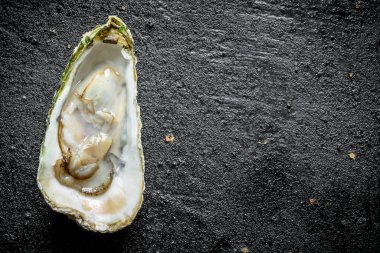 Biri taze istiridye açtı. Siyah rustik arka plan üzerinde