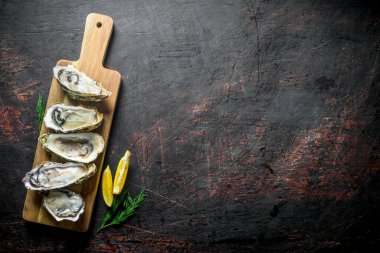 Limon ve dereotu ile ahşap kesme Tahtası üzerinde çiğ istiridye açıldı. Koyu rustik arka plan üzerinde