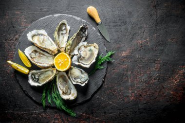 Limonlu yuvarlak taş lı tahtada çiğ istiridye. Koyu rustik arka plan üzerinde