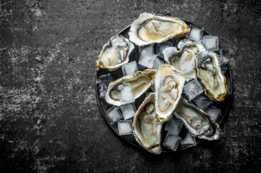 Taze çiğ istiridyeler ve bir tabakta buz küpleri. Koyu rustik arka plan üzerinde