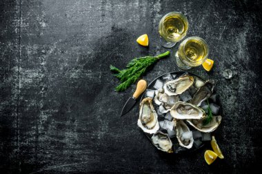 Beyaz şarap, buz küpleri ve limon dilimleri ile çiğ istiridye. Koyu rustik arka plan üzerinde