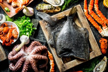 Çeşitli balık, ahtapot, karides ve kerevit otlar ile. Üstte görüntü