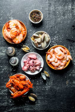 Bebek karides, istiridye, kerevit ve ahtapot kaseleri. Koyu rustik arka plan üzerinde
