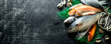 Çeşitli çiğ balık ve istiridye. Koyu rustik arka plan üzerinde