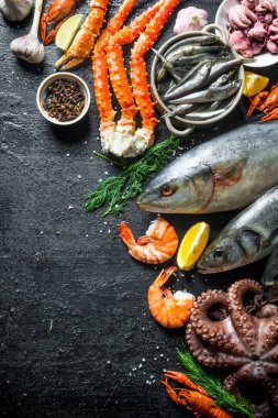 Taze deniz ürünleri çeşitleri. Siyah rustik arka plan üzerinde