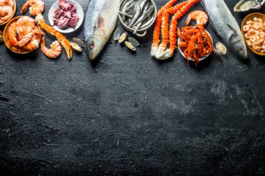 Çeşitli taze deniz ürünleri çeşitleri. Siyah rustik arka plan üzerinde