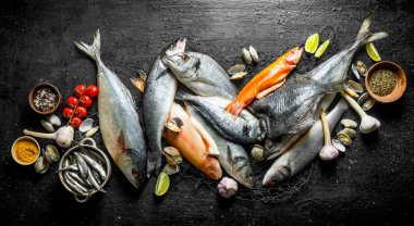 Baharat, domates ve istiridye ile çiğ balık. Siyah rustik arka plan üzerinde