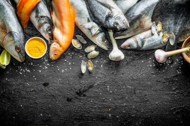 Sarımsak ve istiridye ile bir balık ağı taze çiğ balık. Siyah rustik arka plan üzerinde