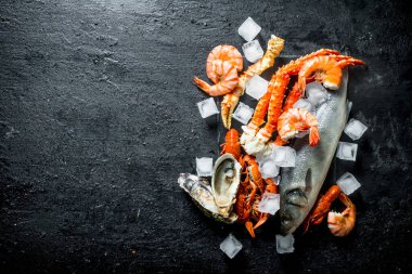 Deniz ürünleri ve buz küpleri ile taze balık. Siyah rustik arka plan üzerinde