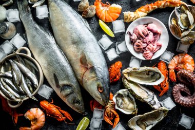 Buz küpleri ile çiğ balık ve deniz ürünleri. Üstte görüntü