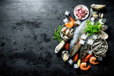 Buz küpleri ile taze deniz ürünleri. Siyah rustik arka plan üzerinde