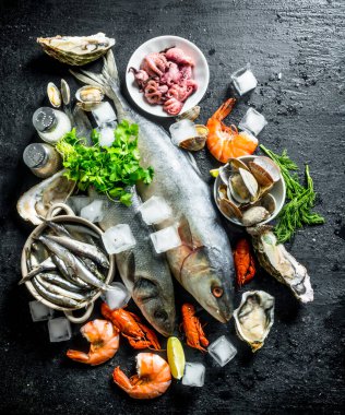 Buz küpleri ile taze deniz ürünleri. Siyah rustik arka plan üzerinde