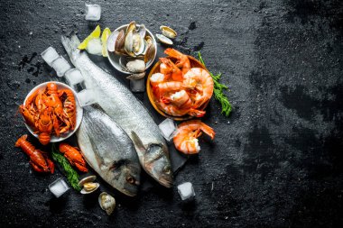 Buz küpleri ve kireç dilimleri ile bir taş Tahta üzerinde çiğ balık ve deniz ürünleri. Siyah rustik arka plan üzerinde