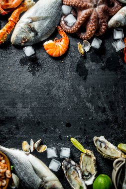 Buz üzerinde deniz ürünleri sağlıklı beslenme. Siyah rustik arka plan üzerinde