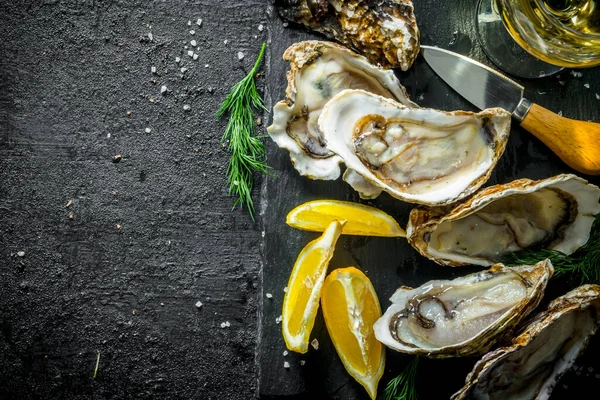 Seafood Delicious Raw Oysters Dill Lemon Black Rustic Background — Stock Photo, Image