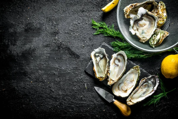 Fresh Raw Oysters Stone Board Colander Lemon Dill Black Rustic — Stock Photo, Image