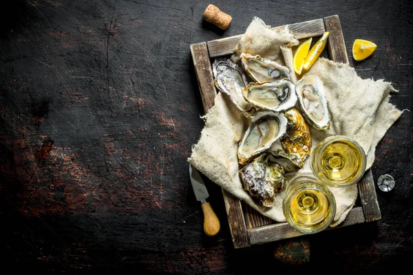Raw Oysters Rag Wooden Tray Glasses White Wine Dark Rustic — Stock Photo, Image