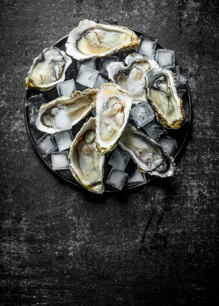新鲜的生牡蛎 盘子里有冰块 在黑暗的质朴背景 — 图库照片