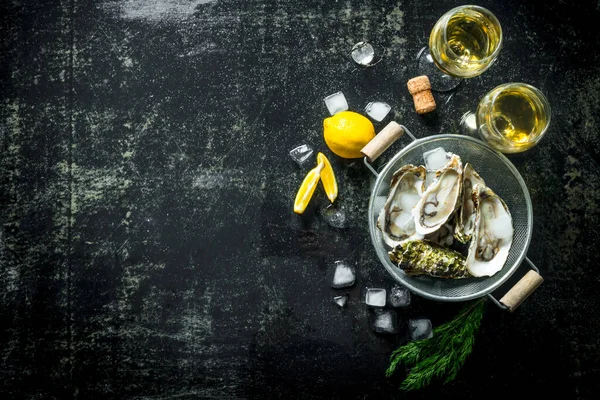 Opened Oysters Colander White Wine Lemon Slices Ice Cubes Dark — Stock Photo, Image
