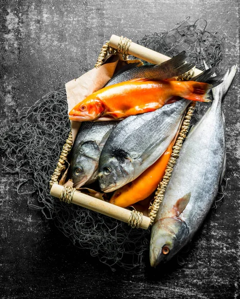 stock image Raw fish in the box. On dark rustic background