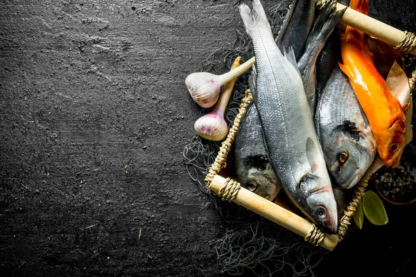 stock image Fresh fish in a box with garlic, spices and lime. On black rustic background