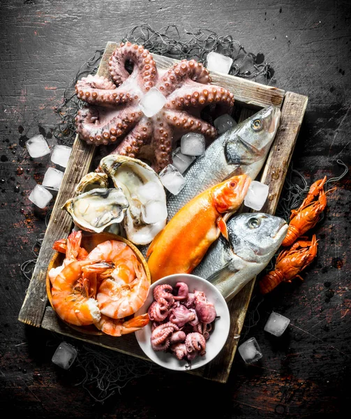 Stock image Delicious fresh seafood on a wooden tray with ice. On dark rustic background