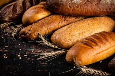 Dikenli farklı türde ekmekler. Karanlık bir arka plana karşı. Yüksek kalite fotoğraf