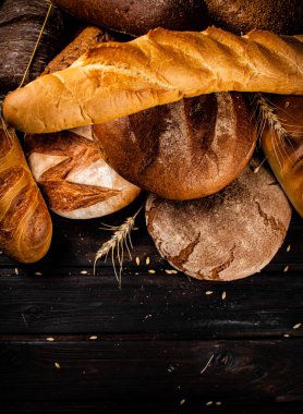 Farklı türde taze pişmiş ekmek. Ahşap bir arka planda. Yüksek kalite fotoğraf