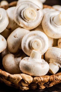Bir sepet dolusu taze mantar. Makro arka plan. Yüksek kalite fotoğraf