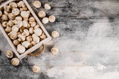 Tepside taze mantarlar. Gri bir arka planda. Yüksek kalite fotoğraf