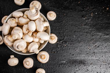 Masadaki kasede taze mantar şampiyonları. Siyah bir arka planda. Yüksek kalite fotoğraf