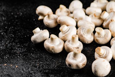 Masada taze mantar şampiyonları var. Siyah bir arka planda. Yüksek kalite fotoğraf