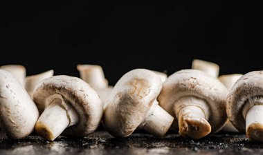 Masada taze mantar şampiyonları var. Siyah bir arka planda. Yüksek kalite fotoğraf