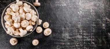 Kevaşede taze mantar. Siyah bir arka planda. Yüksek kalite fotoğraf