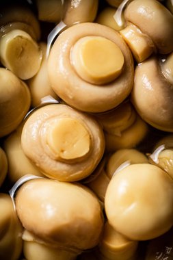 Salamura mantar. Makro arka plan. Mantar turşusu. Yüksek kalite fotoğraf