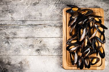 Tahta kesme tahtasının üzerinde haşlanmış midyeler. Gri bir arka planda. Yüksek kalite fotoğraf
