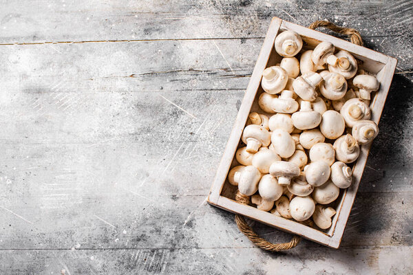 Fresh mushrooms on the tray. On a gray background. High quality photo