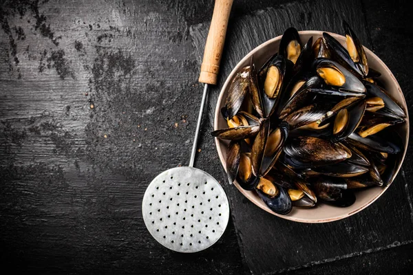 Teljes Tál Főtt Kagylóval Egy Kőtáblán Fekete Háttérrel Kiváló Minőségű — Stock Fotó