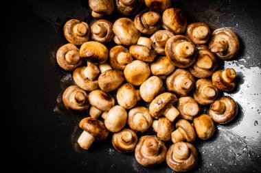 Small fried mushrooms in a frying pan. Against a dark background. High quality photo