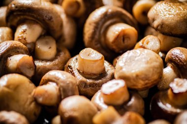 Fragrant fried mushrooms. Macro background. The texture of mushrooms. High quality photo