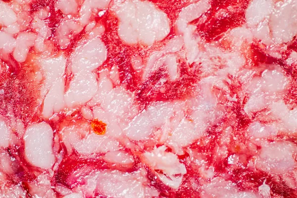 Cut of salami sausage. Macro background. Salami texture. High quality photo