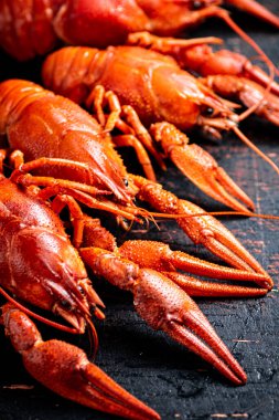 Masada bir sürü haşlanmış kerevit var. Karanlık bir arka plana karşı. Yüksek kalite fotoğraf