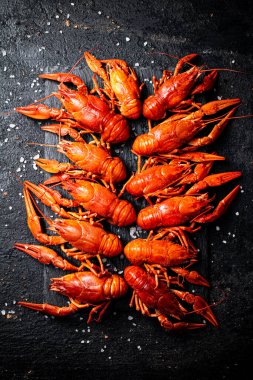 Kaynamış kerevit ve tuz. Siyah bir arka planda. Yüksek kalite fotoğraf