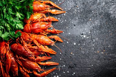 Maydanozlu haşlanmış kerevit. Siyah bir arka planda. Yüksek kalite fotoğraf