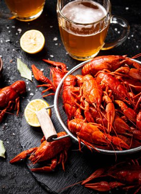 Kerevit kaynatılmış kevgir ve bir bardak bira. Siyah bir arka planda. Yüksek kalite fotoğraf