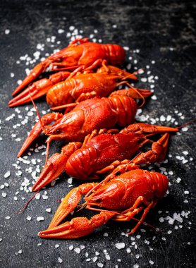 Haşlanmış kerevit ve tuz. Siyah bir arka planda. Yüksek kalite fotoğraf
